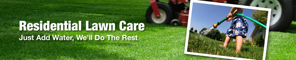  lawn care service
