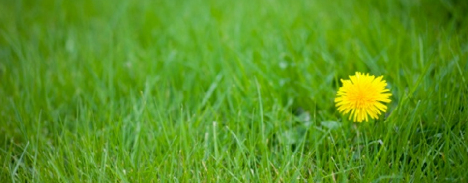 Call for a FREE estimate today!