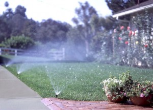 Sprinkler System Plano