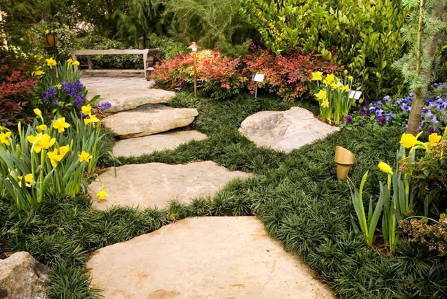 Creating Impressive Landscaping in Plano, TX for Better Business