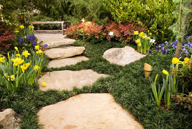 Creating Impressive Landscaping in Plano, TX for Office Buildings