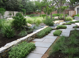 Landscaping in Plano, TX as Solution to Liven Up Concrete Walls