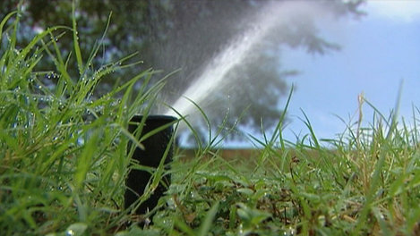 Lawn Care in Plano, TX to Become More Challenging with New Water Usage Restriction