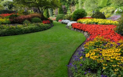Hire Professionals for Lawncare to Enhance the Look