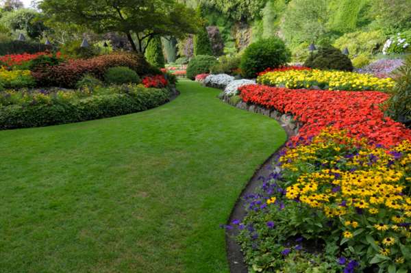 Hire Professionals for Lawncare to Enhance the Look