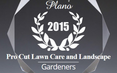 Pro Cut Lawn Care and Landscape Receives 2015 Best Businesses of Plano Award