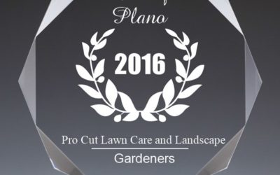 Pro Cut Lawn Care and Landscape Receives 2016 Best Businesses of Plano Award Plano