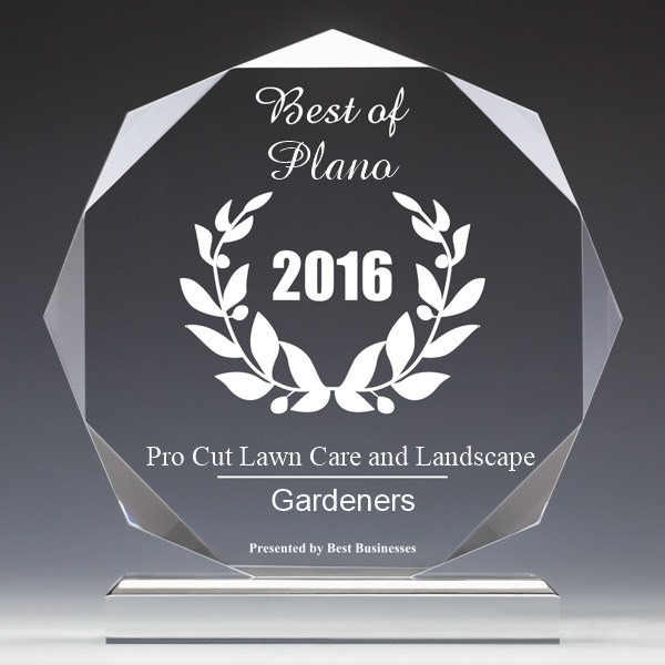 Pro Cut Lawn Care and Landscape Receives 2016 Best Businesses of Plano Award Plano