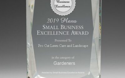 Pro Cut Lawn Care and Landscaping Receives 2019 Excellence Award